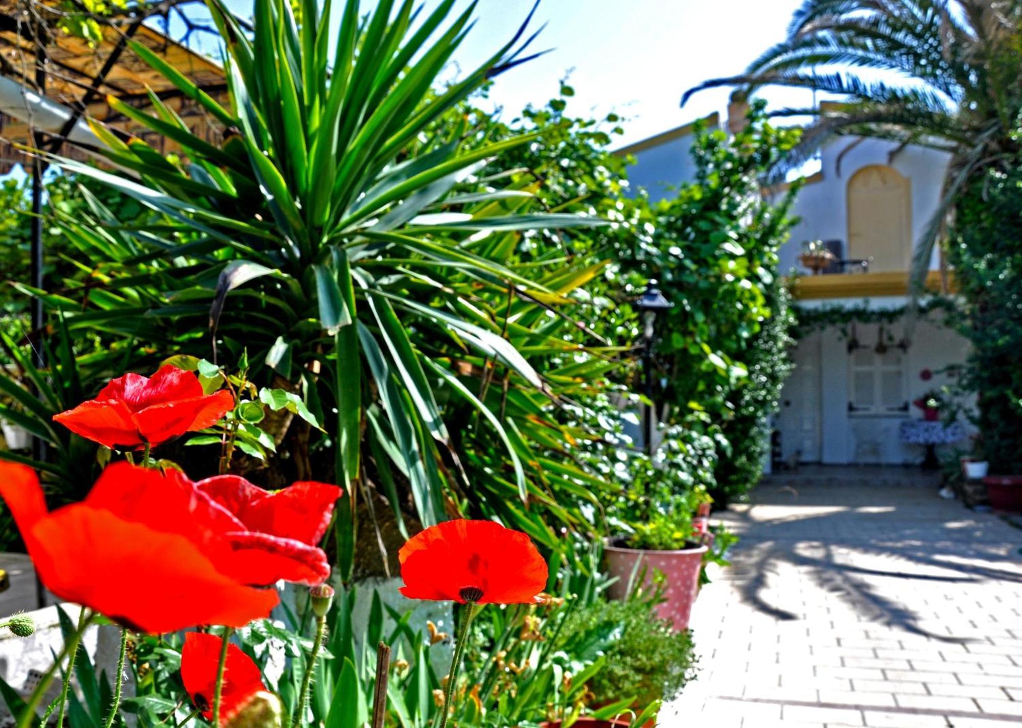 Elena Dassia (Corfu)